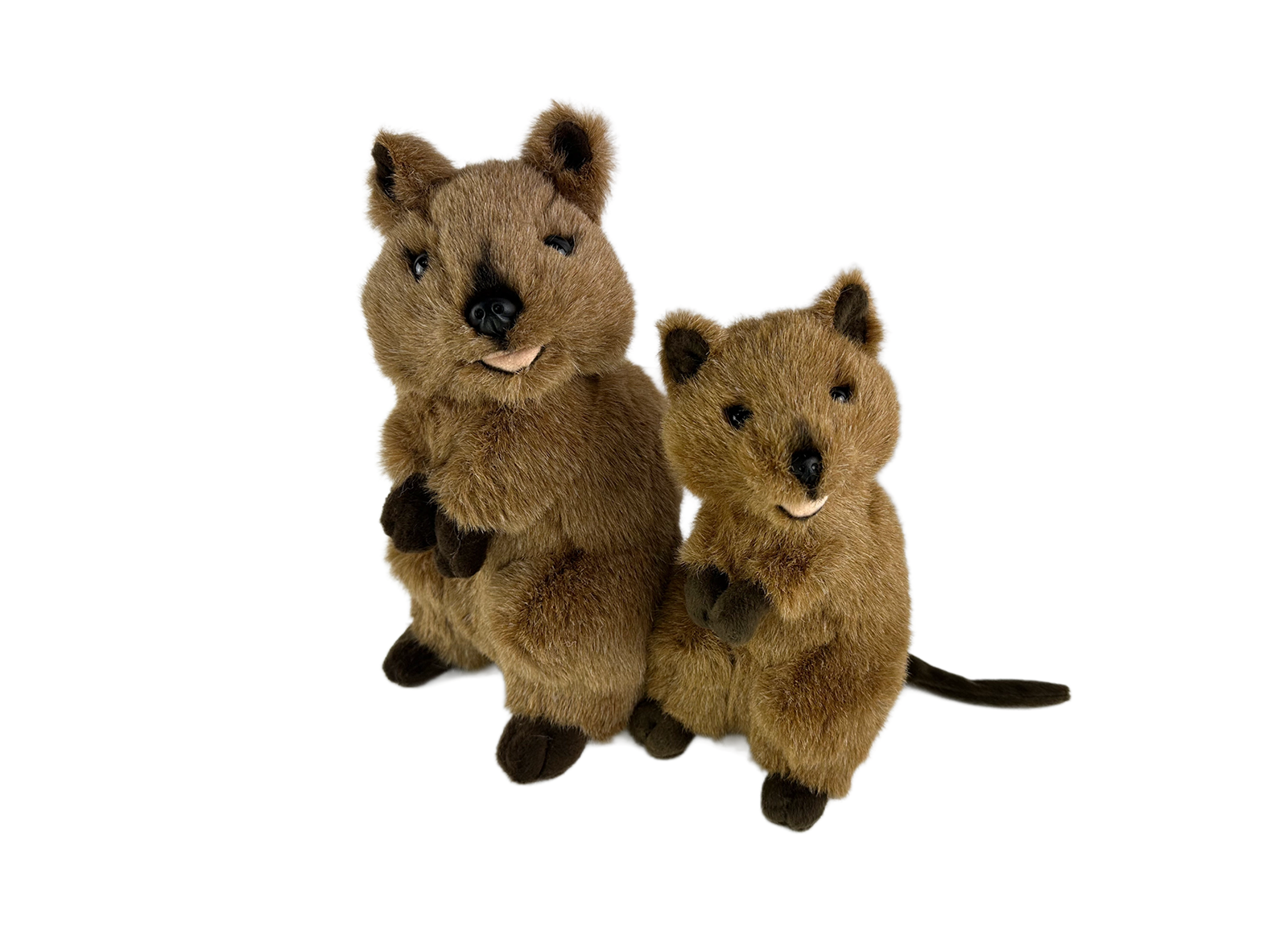quokka plush toys from Bocchetta Plush Toys
