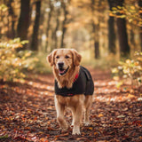 Jacaru 6510 oilskin dog coat with waterproof brown finish