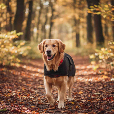 Jacaru 6510 oilskin dog coat with waterproof brown finish