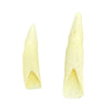 Jacaru 6580 Genuine Crocodile Tooth