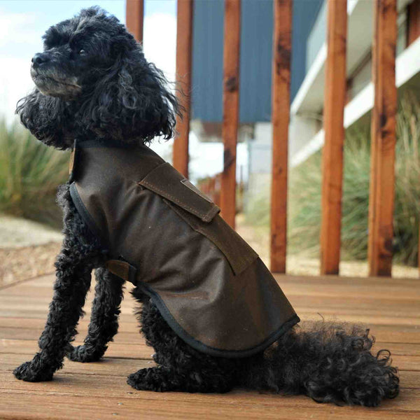 Jacaru 6510 dog coat with oilskin fabric and secure fit