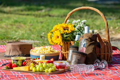 Jacaru 8003XL Giant Picnic Blanket