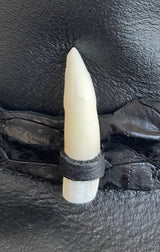 Jacaru 6580 Genuine Crocodile Tooth